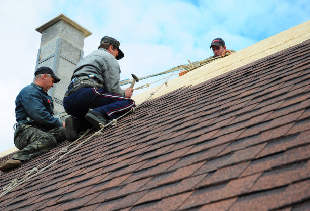 Best Roof Gutter Cleaning  in Altus, OK